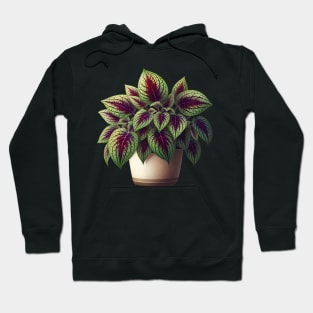 Fishnet Stockings Coleus Plant Hoodie